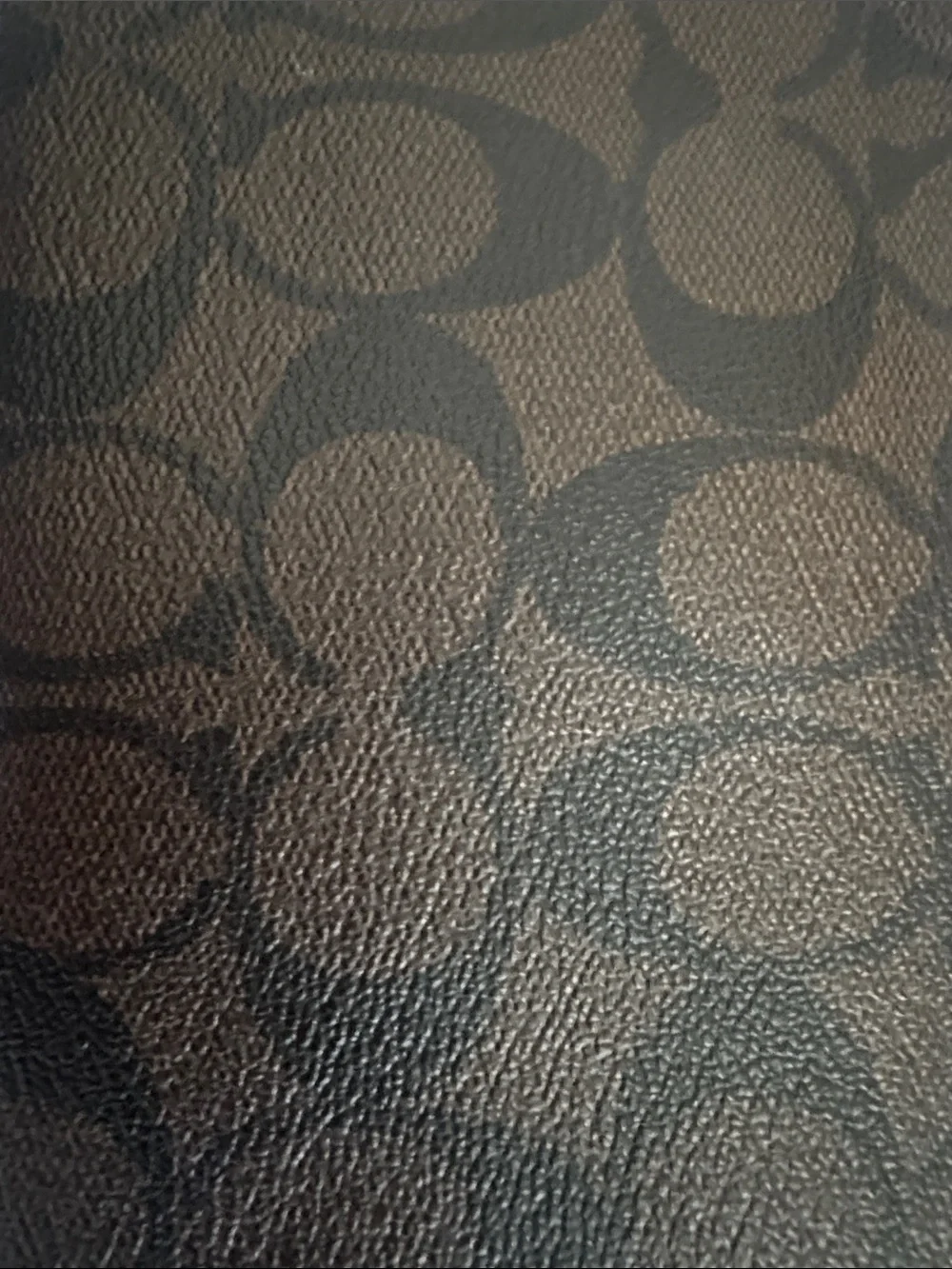 Coach signature canvas